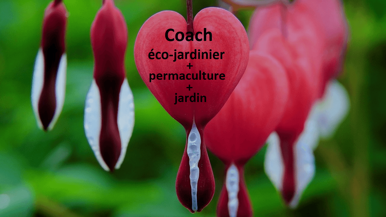 coach jardin jardinier permaculture